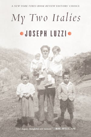 A book cover of My Two Italies by Joseph Luzzi